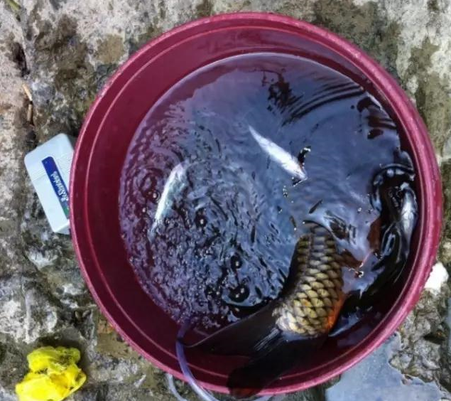 潭钓客 鬼股市系列讲座全套,课程,第1张