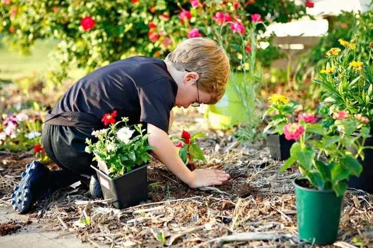 张育森 园艺疗法,课程,健康,放松,养生,第1张
