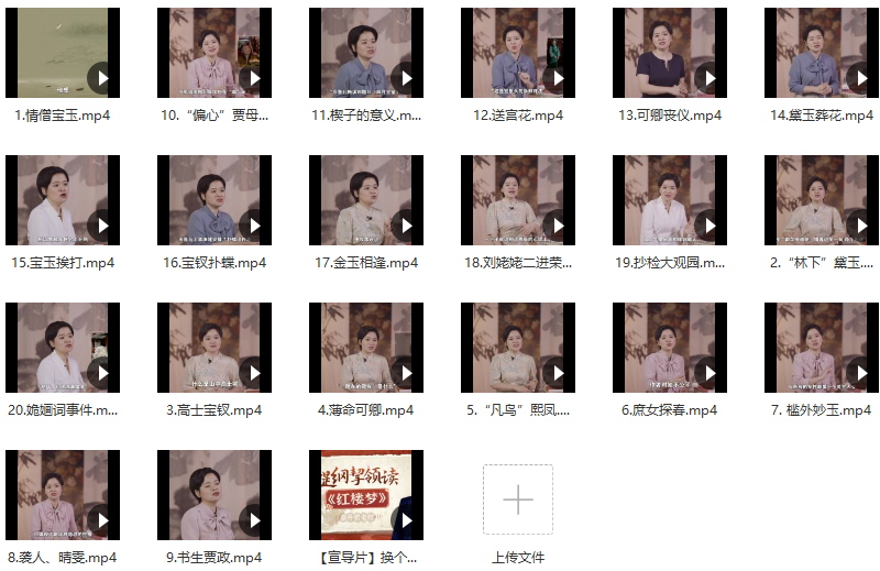 蔡丹君老师《提纲挈领读红楼梦》,课程,学习,平衡,第3张