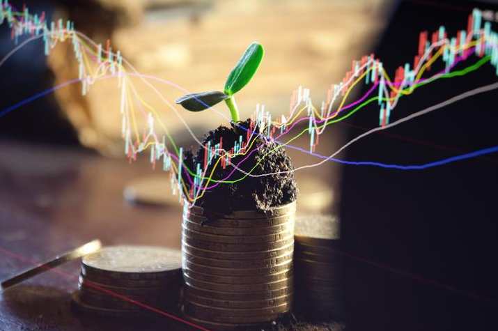 杨洪斌 期货培训学习视频,课程,学习,专业,论坛,长期投资,第1张