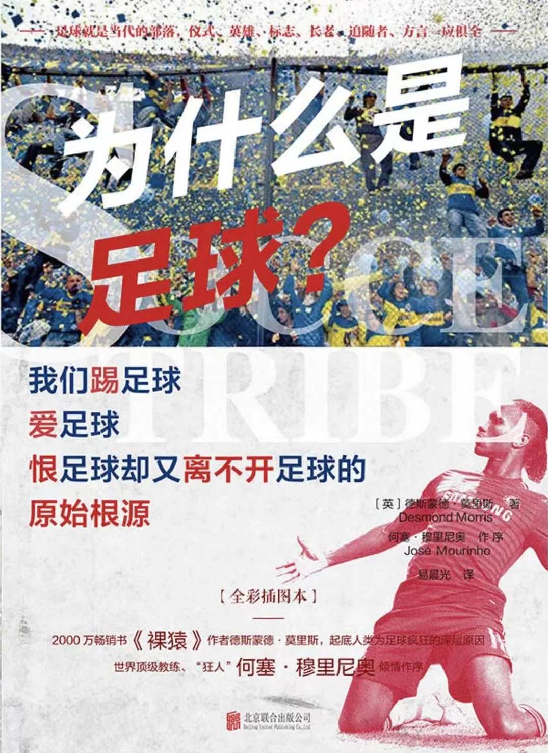 读书 为什么是足球,专业,理解,直播,目标,艺术,第1张