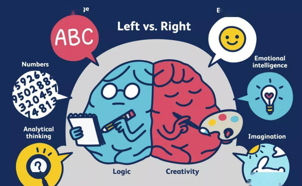 思维逻辑 说明左脑 感动右脑,学习,理解,教育,尊重,第1张