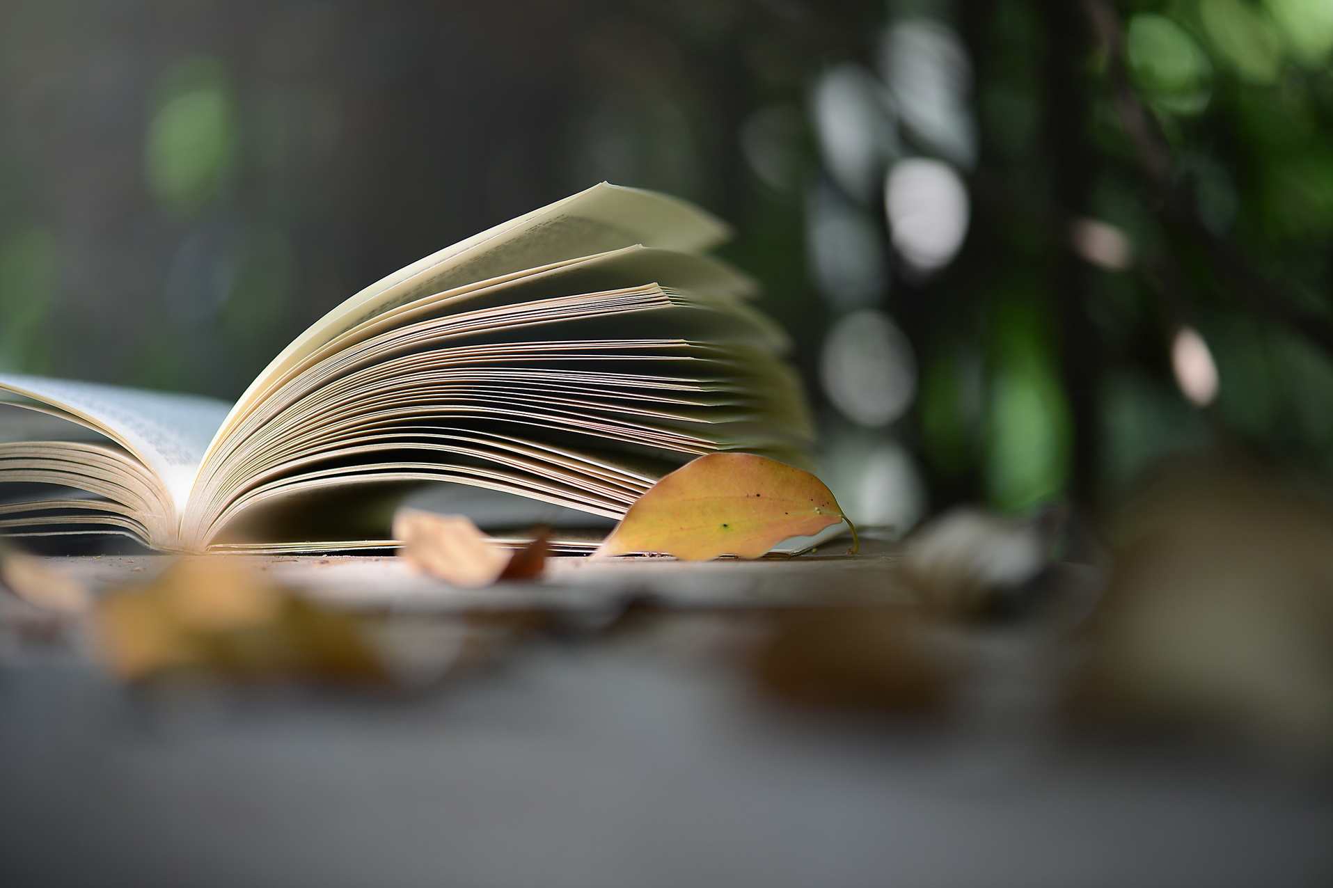 读书 感受爱,发展,教育,沟通,放松,进步,第1张