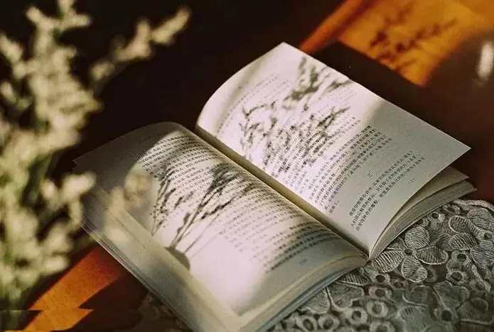 读书 活好,学习,发展,理解,教育,艺术,第1张