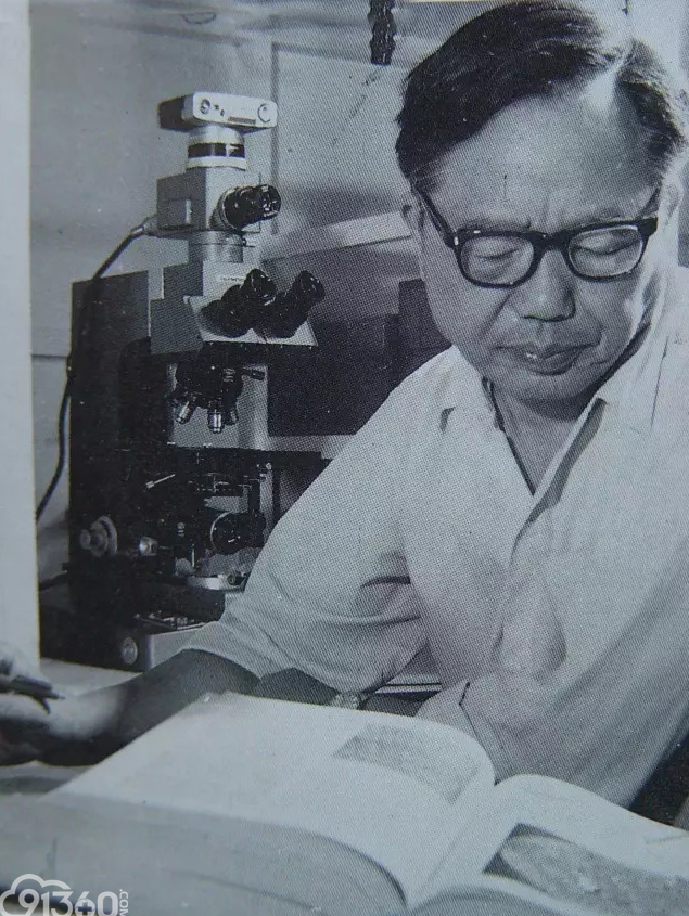 李志尚 系统培训课程U盘珍藏版现货白银精简易学实用系统课程