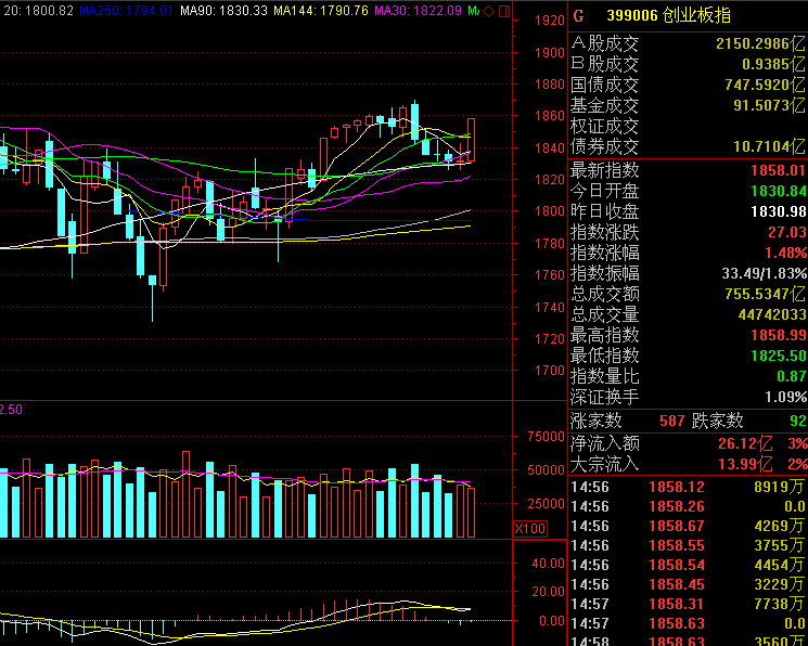 王雪伟 主力资金中的涨停战法,第1张