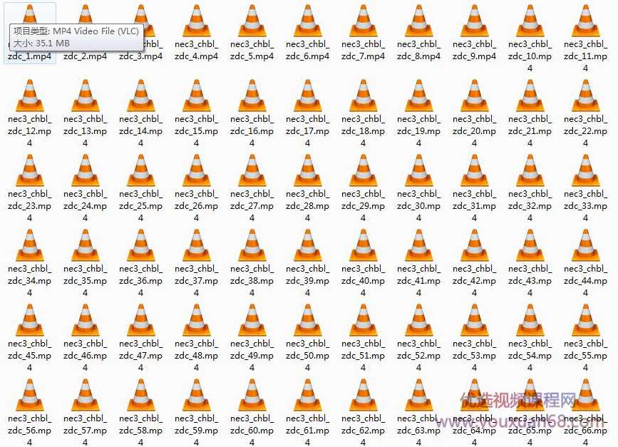 李延隆新概念英语第三册重点单词全解析视频教程（260集）,课程,第2张