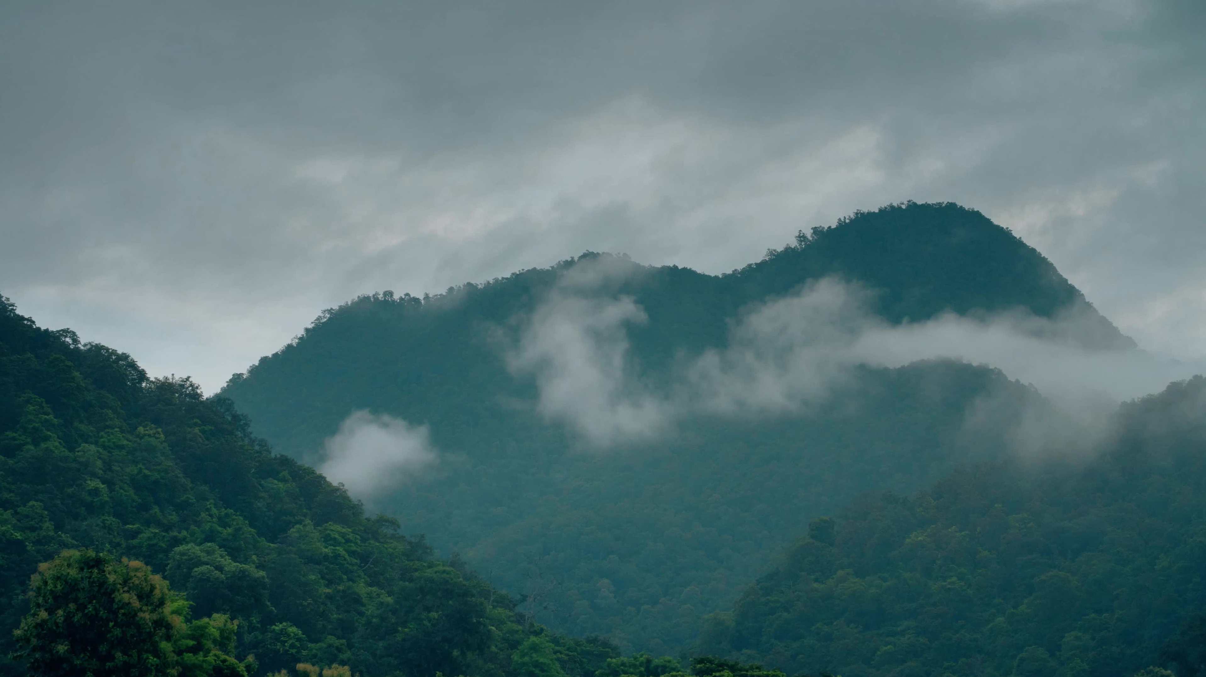 (深山老牛) 个人隔日超短买卖点分享 + 温和堆量后首阴低吸细节技巧 PDF,第1张 (深山老牛) 个人隔日超短买卖点分享 + 温和堆量后首阴低吸细节技巧 PDF,第1张