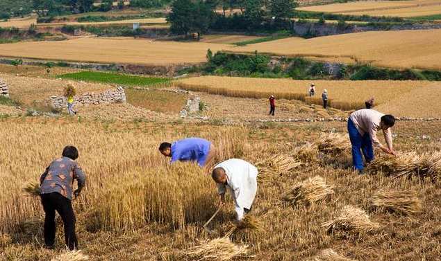 怎样做不被人收割的韭菜金股典系列教程,课程,发展,成长,金融,美女,第1张