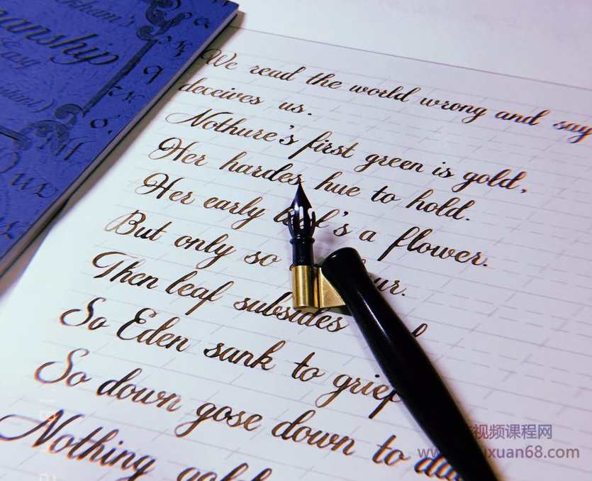 零基础学英文花体字，25节课带你写出一手漂亮的英文,课程,学习,专业,书法,第2张