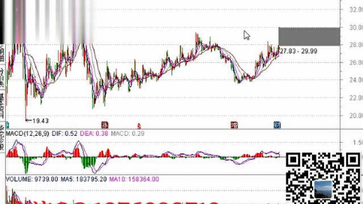 紫荆教育股票投资视频 炒股入门基础视频