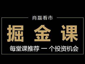 肖磊看市丨点对点掘金课（2017 2018 2019全集）,课程,学习,发展,理解,直播,第2张