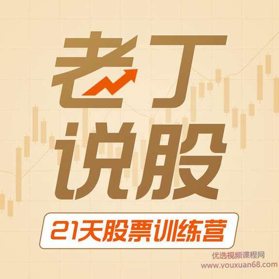 老丁说股21天训练营 21PDF讲义,课程,学习,第1张