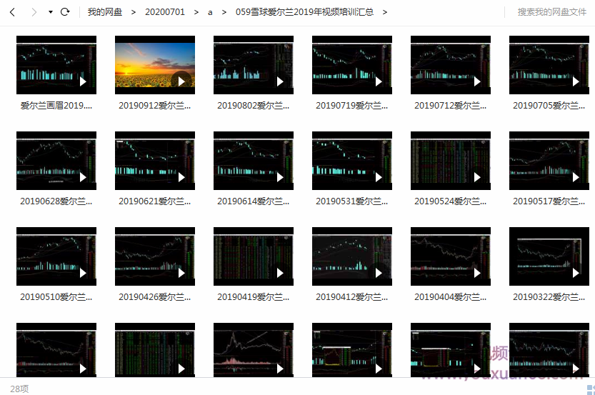 雪球爱尔兰2019年视频培训汇总,第1张