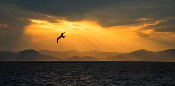 光线是灵魂-美国摄影用光教程-数码单反相机摄影教程