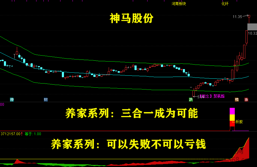 养家系列指标 妖股时尚战法：（妖股+抄底+加仓）组合预警互成利器，妖股时尚战法，养家系列指标组合预警互为利器，抄底加仓策略助力稳健投资,第4张
