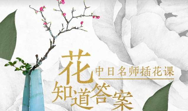 插花教程 解析插花全步骤，了解插花全过程,课程,第1张