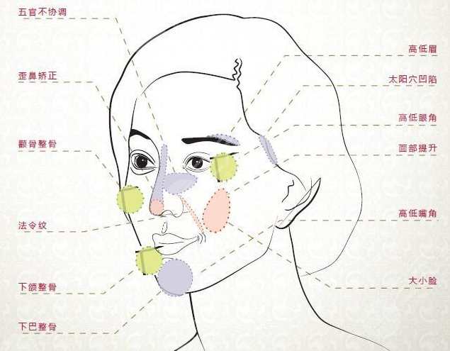 台湾徒手整形整骨专家张富源著 快乐刮刮瘦+DIY整骨塑身