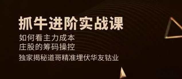 道哥抓牛进阶实战课,课程,学习,第1张