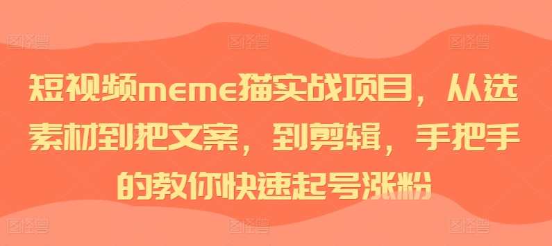 短视频meme猫实战项目，从选素材到把文案，到剪辑，手把手的教你快速起号涨粉