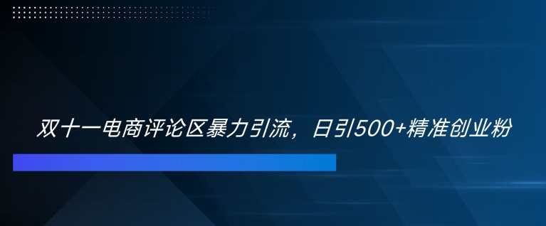 双十一电商评论区暴力引流，日引500+精准创业粉