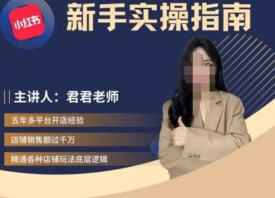 君君-小红书电商从入门到精通，新手实操指南,课程,电商,第1张