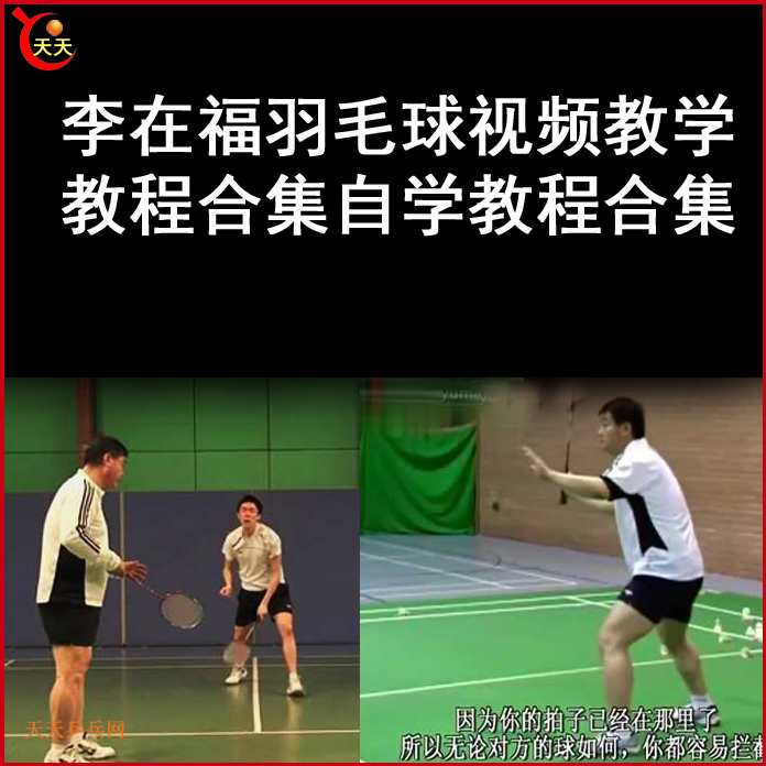 李在福《羽毛球》视频教程WMV格式,第1张