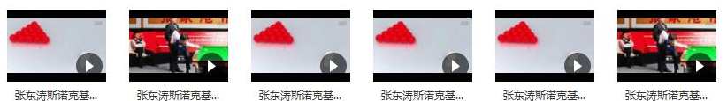 张东涛斯诺克入门基础教学视频(6节课),学习,第2张