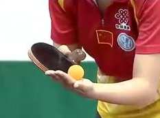 乒乓球教学片_奥运冠军王励勤马琳王楠明星示范_乒乓球要领技巧,运动,第1张