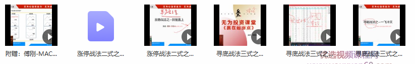无为学院2021年傅刚《赢在起涨点》-寻底涨停战法视频课程 龙头领牛股实战,课程,第2张