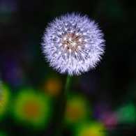 2020山中策市三期·A股独立走势启航,课程,学习,专业,理解,成长,第1张