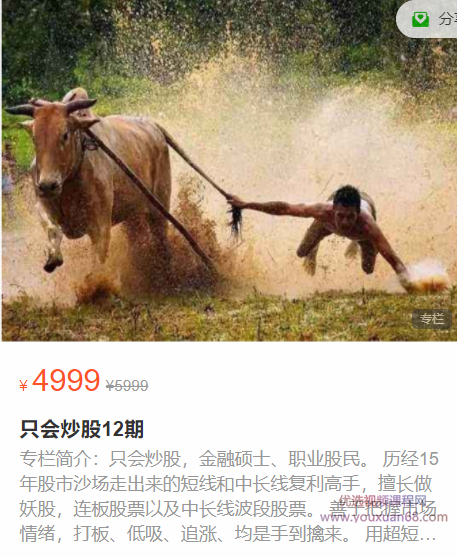 只会炒股12期【完结】,课程,专业,目标,金融,第1张