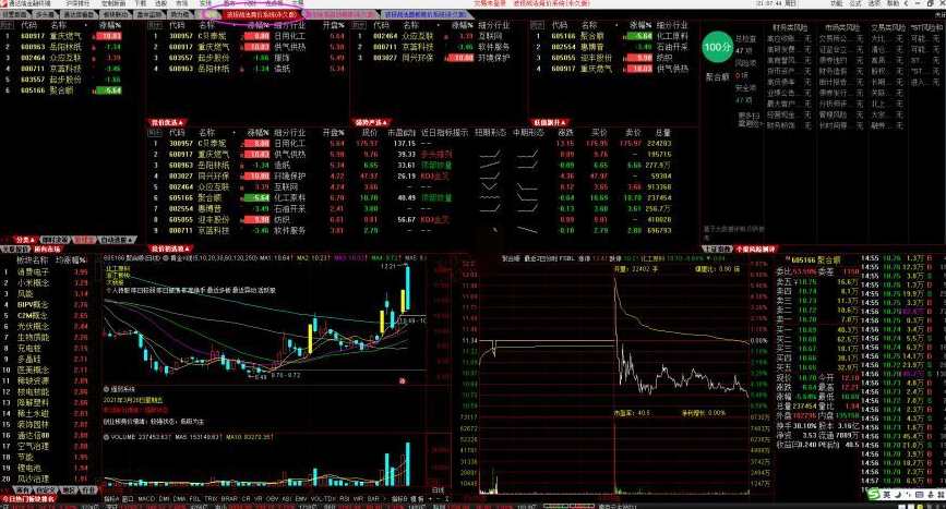 波段战法《竞价体系进阶高级课程》竞价体系自动选股软件通达信永久版,课程,第4张