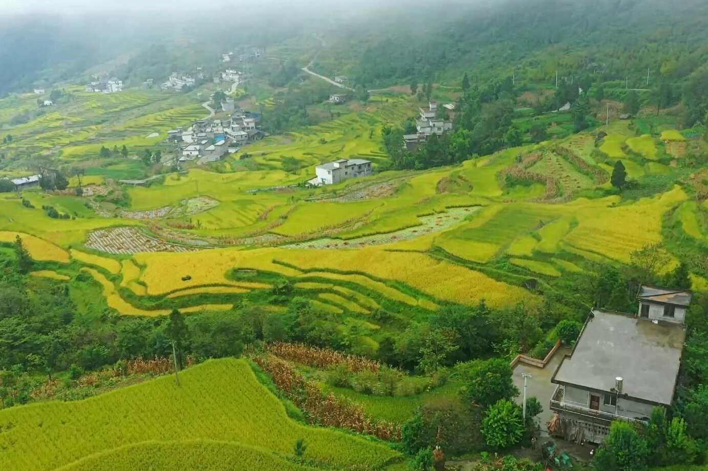 田野 怎样起个好名字