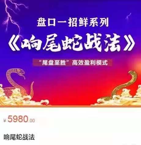 老姜盘口一招鲜系列《响尾蛇战法》“尾盘至胜”高效盈利模式,课程,第1张