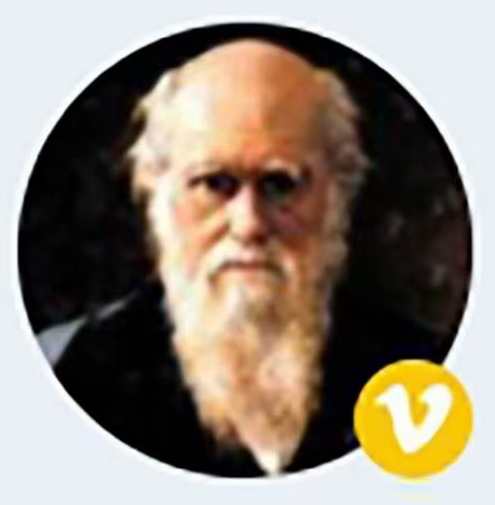 摩尔金融【绕指缠】盘中文字直播,直播,金融,第1张