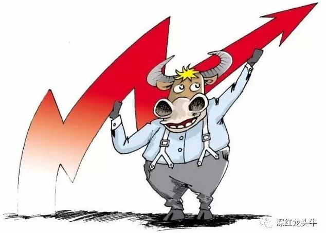 牛哥实战训练营七期