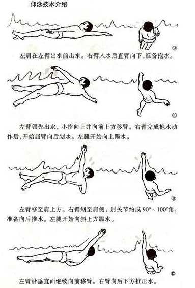 游泳教程 全部游泳锻炼合集,运动,第1张