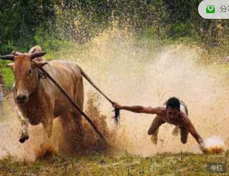 股哥训练营 只会炒股第17期,目标,第1张