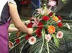 花店插花制作免费学视频教程（10集）,学习,第1张