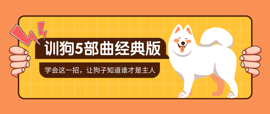 训狗五部曲经典版 养狗不再麻烦,课程,学习,适应,第1张