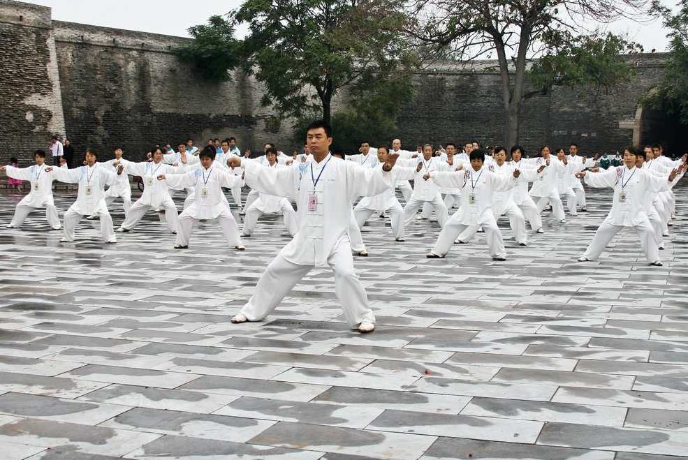 《杨俊敏的太极拳，太极摔跤，太极散手》视频综合+书,第1张