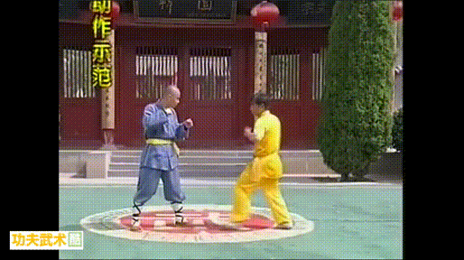 杨俊敏少林.擒拿MPG视频,第1张