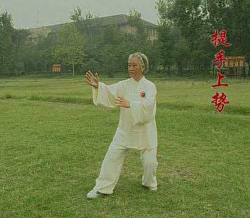 杨式太极擒拿WMV格式视频教学,第1张