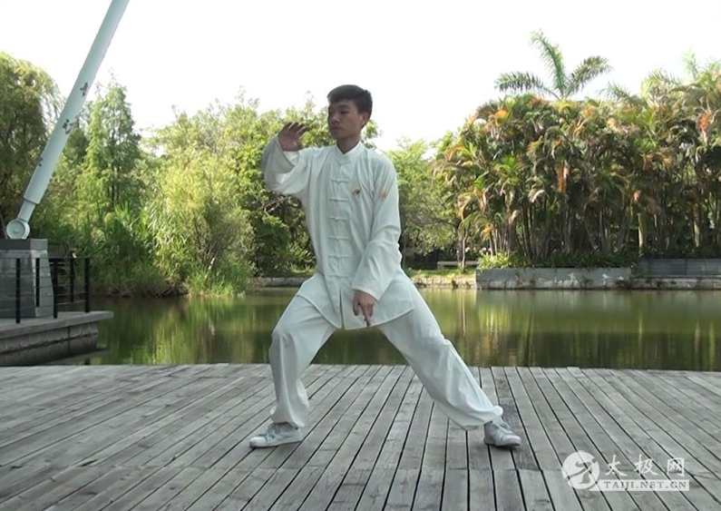 《陈式太极拳32摔法、32擒拿》实战视频,学习,健康,第1张 《陈式太极拳32摔法、32擒拿》实战视频,学习,健康,第1张