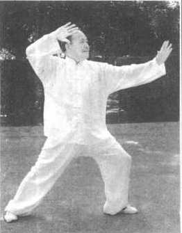 杨氏《六十四式太极拳》教学,第1张