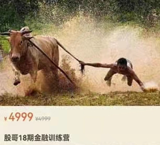 股哥训练营 只会炒股第18期,专业,目标,金融,第1张