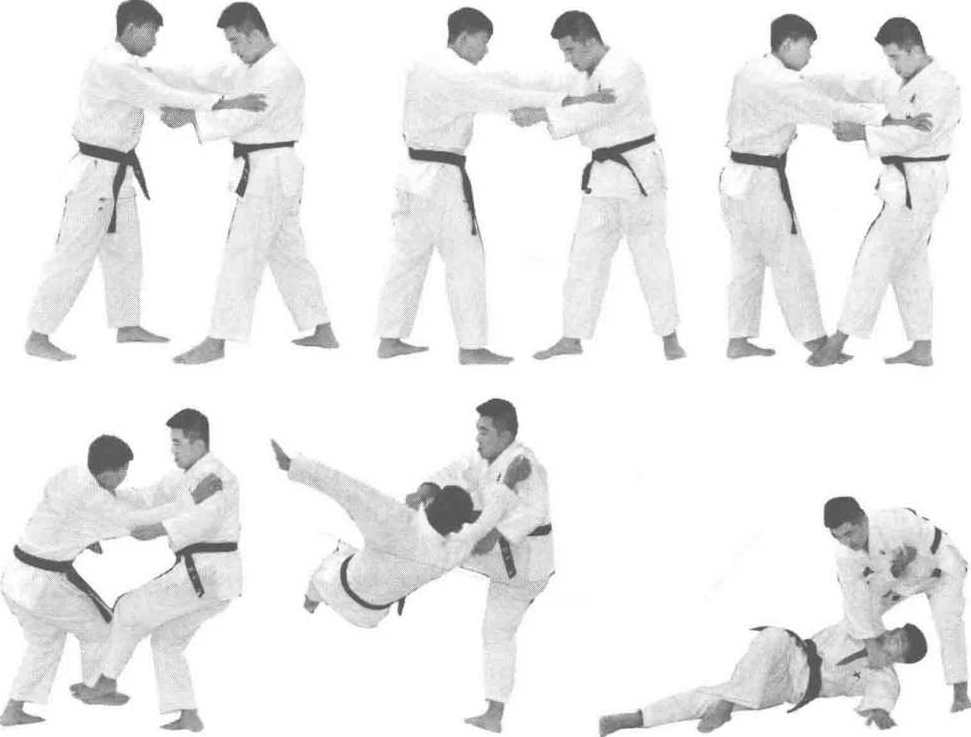 《投技和扫技》AVI格式2讲,第1张