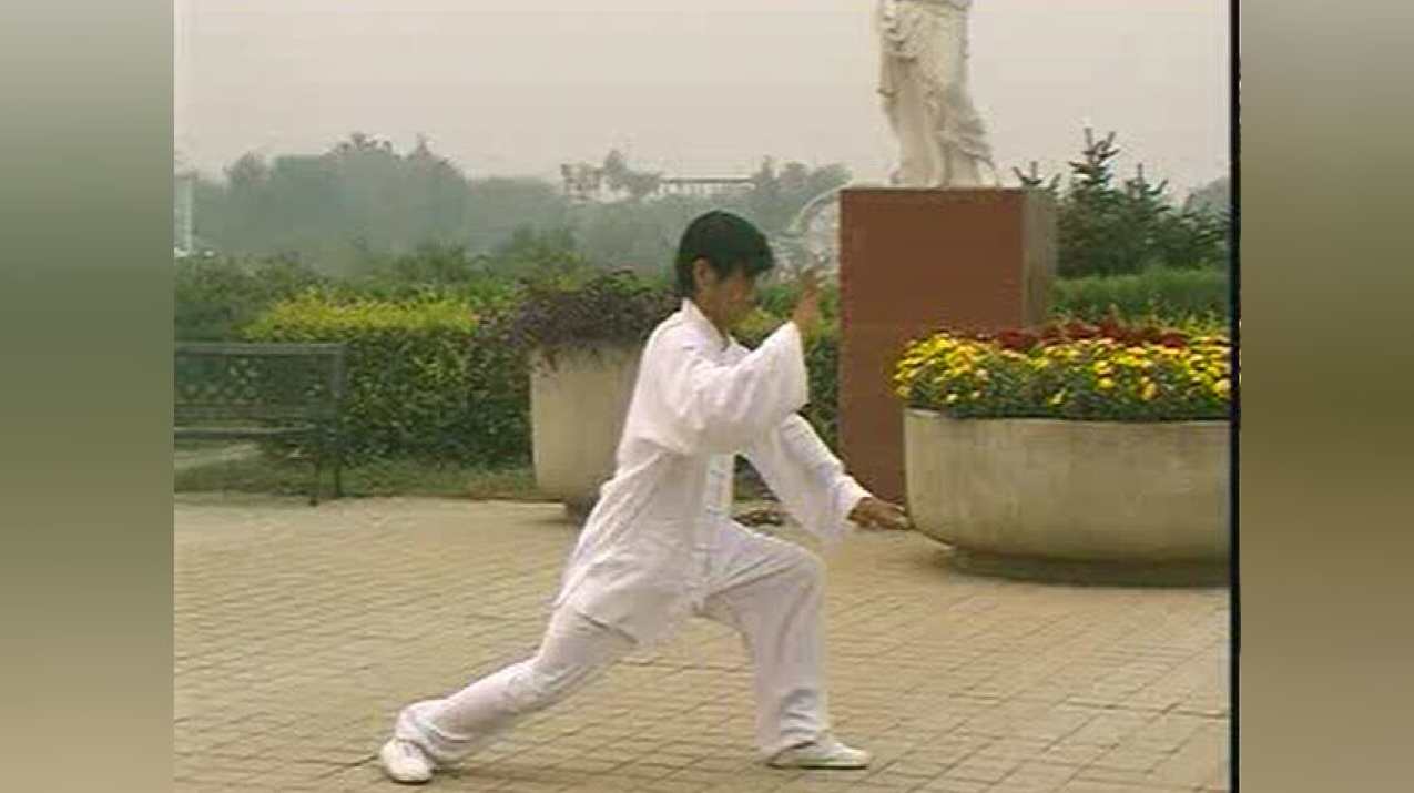 《108式传统杨式太极拳》北京某育大学4CD,学习,发展,专业,艺术,第1张