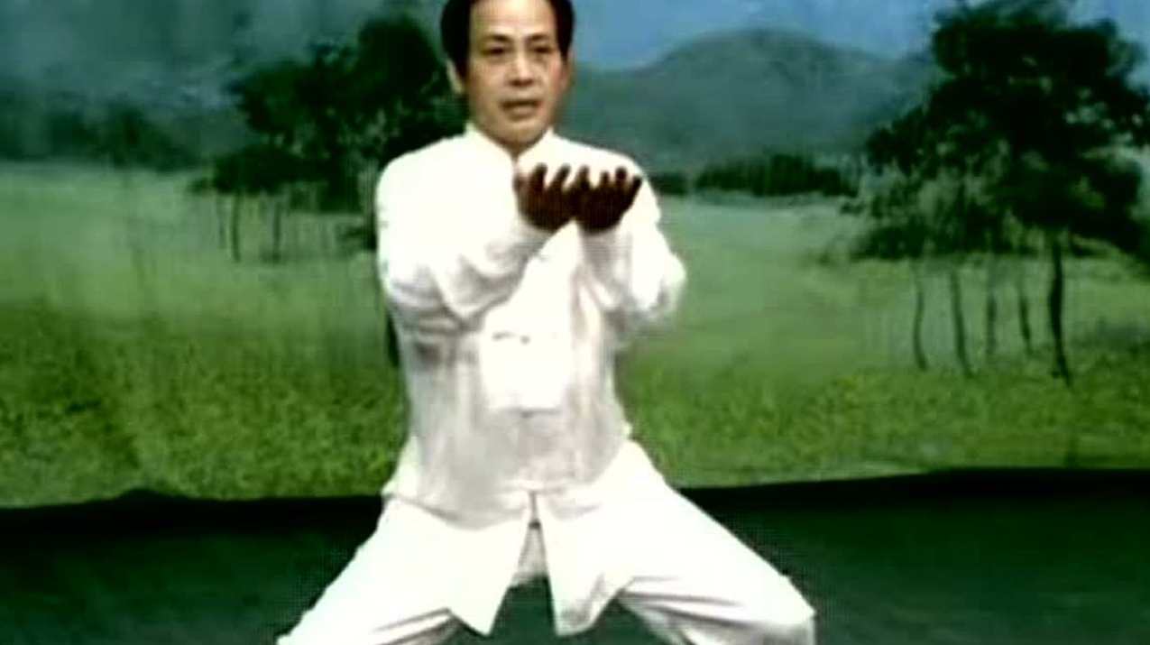 峨眉十二桩-峨眉功法系列,第1张 峨眉十二桩-峨眉功法系列,第1张